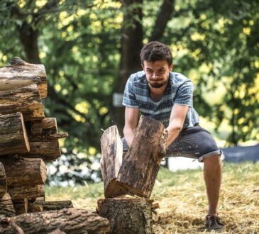 Professional-Tree-Removal